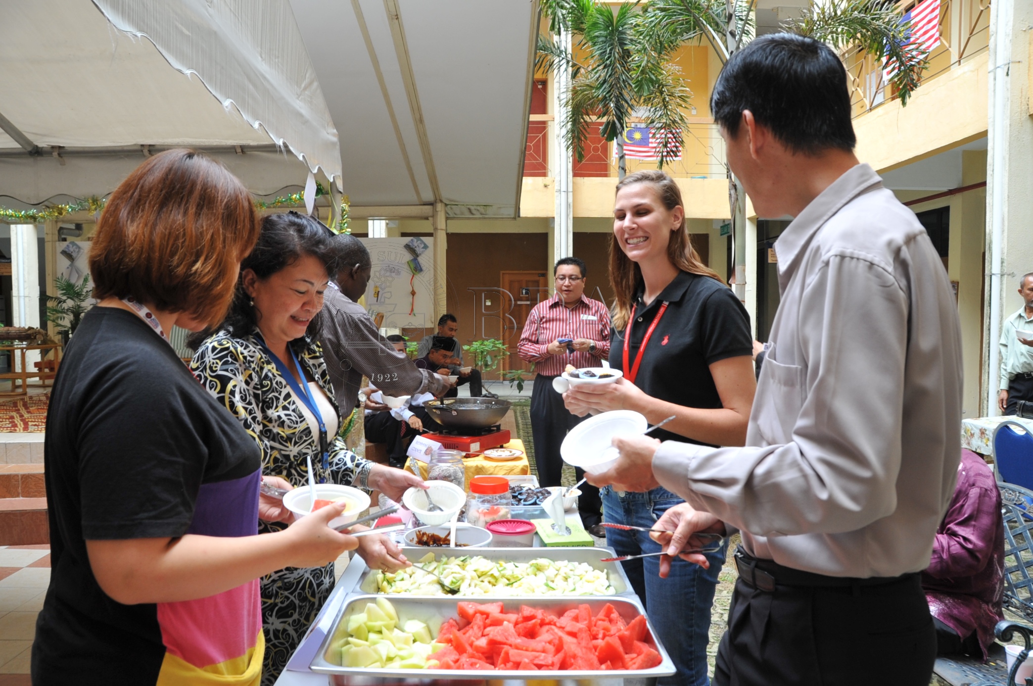 BPA 12 113 msk PRO 6011